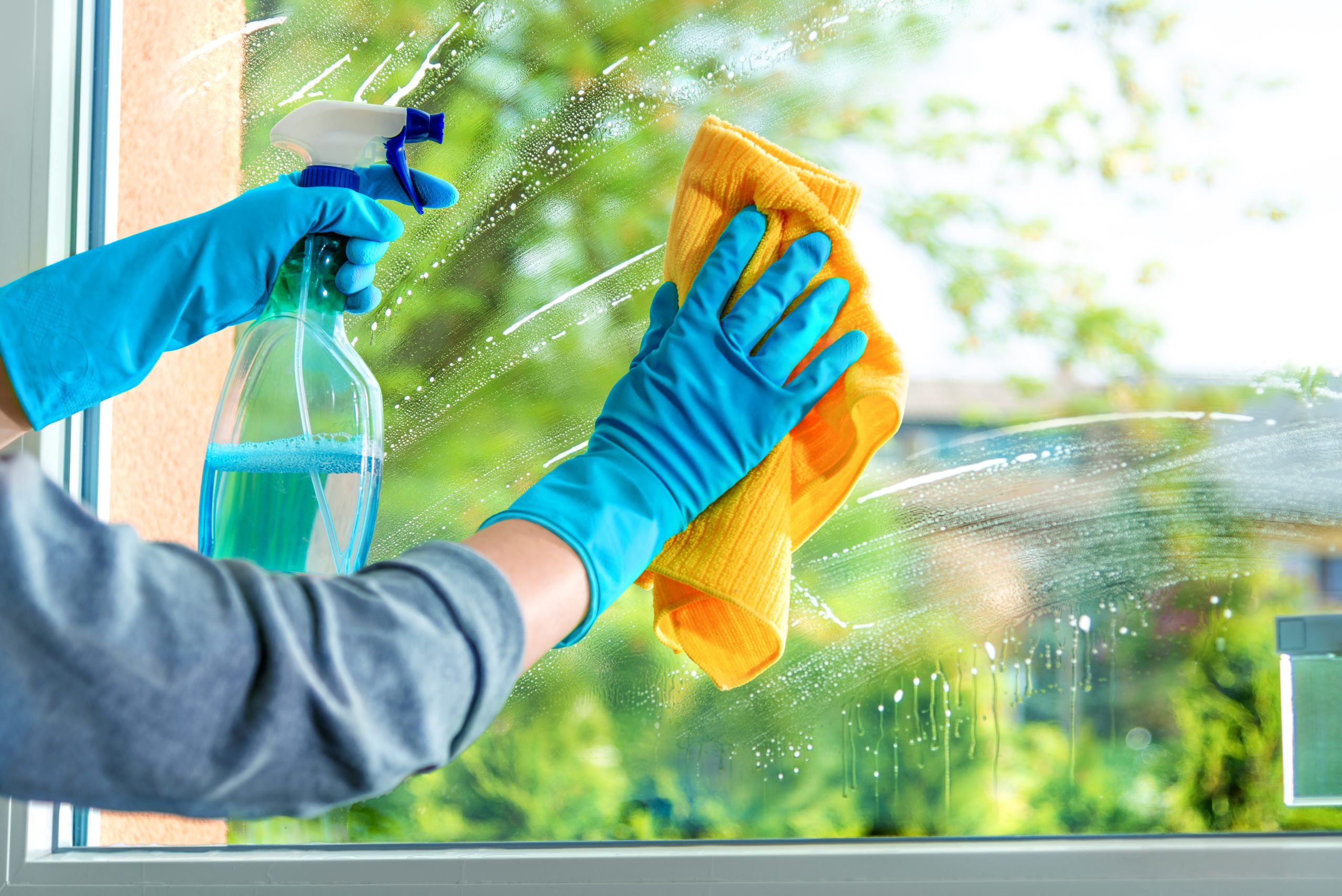 shutterstock_1401539603-scaled